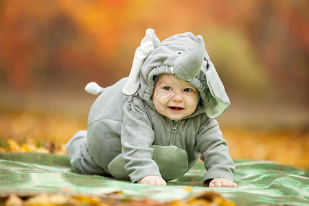 身着大象服装的婴儿男孩 自然 说谎 叶子 健康脸高清图片素材