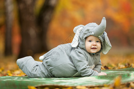 身着大象服装的婴儿男孩 秋天 地面 说谎 微笑戏服高清图片素材