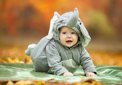 在公园穿大象服装的婴儿男孩 动物 叶子 万圣节 微笑健康高清图片素材