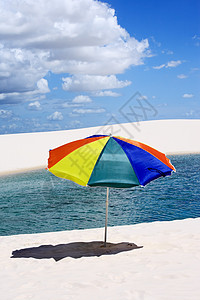 马兰豪州阳伞日光浴高清图片