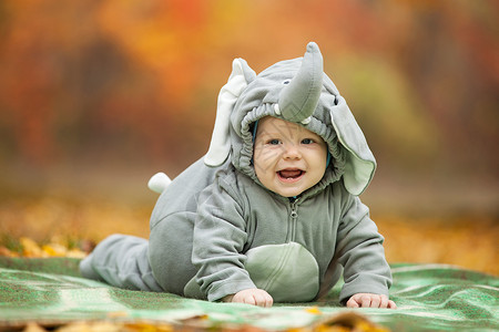 在公园穿大象服装的婴儿男孩 漂亮的 可爱的 衣服 季节男生高清图片素材