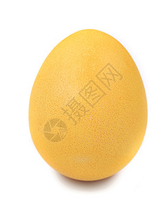 黄黄东蛋 简单的 脆弱的 红色的 鸡 春天 安全的背景图片