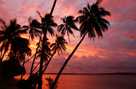 汤加奥福岛日落时在海滩上棕榈树 热带 瓦沃 天空高清图片