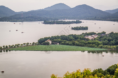 杭州市 石头 岩石 墙 湖 旅行 假期 池塘背景图片