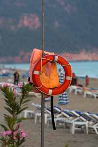 艾伦亚的克利奥佩特拉海滩上的生命之宝 花朵背景图片