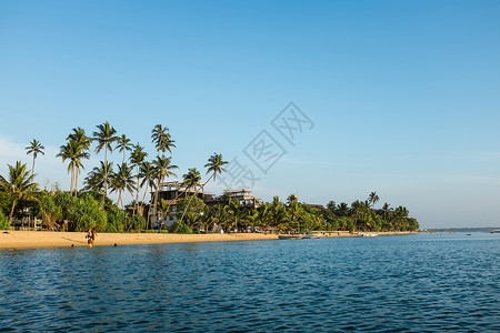印度洋海滨 树 旅行 棕榈 风景 假期 天空 贝鲁瓦拉背景图片