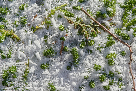 冰雪效果艺术字带绿草的冰雪背景