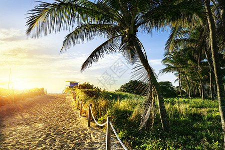 佛罗里达迈阿密海滩救生塔 迈阿密滩 海洋 云 建筑学热带高清图片素材