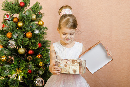 5岁女孩拿着圣诞礼物在箱里看背景图片