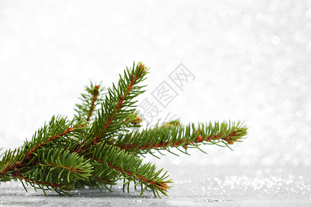 圣诞树处 假期 框架 圣诞节 针叶 装饰风格 枝条背景图片