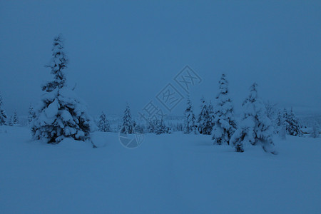 蓝冬背景图片
