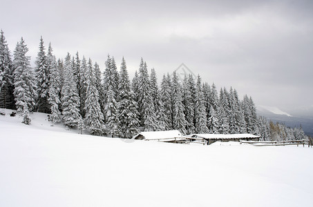 冬季寒冬平静的山地风景 雪覆盖了海面和积雪 天空 奥地利早晨高清图片素材