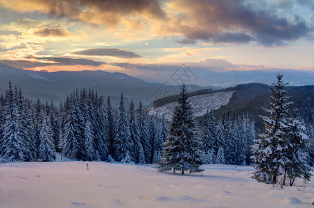 清晨阳光照耀的寒冬风景美景 阿尔卑斯山 覆盖 寒冷的 荒野光束高清图片素材