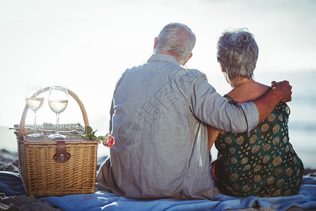 老年夫妇野餐 男性 情怀 野餐篮子 毯子 水 玫瑰背景图片