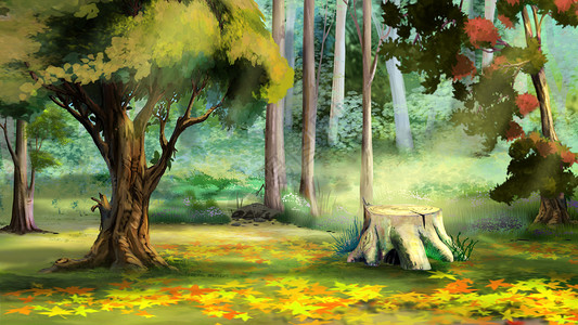 秋树森林中的旧树丛背景图片
