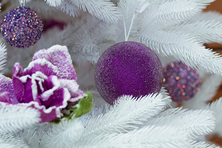 白fir树 紫球和花的X马装饰背景图片