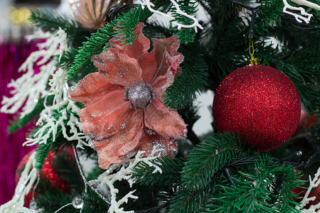 圣诞季节性装饰 红球和花首饰背景图片