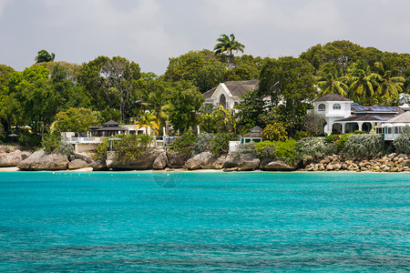 班布里奇岛巴巴多斯沿海的居住区 假期 天堂 海岸 海浪 自然背景