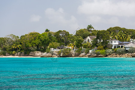 班布里奇岛巴巴多斯沿海的居住区 泻湖 树木 海洋 美丽的 海滩背景