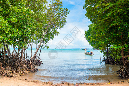 深浅的海滨灌木丛和海洋中的船 美丽的陆地背景图片