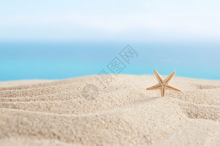 海滩沙沙和天空背景 旅行 空的 壳 蓝色的 地平线背景图片