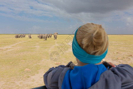 大象坦桑尼亚享受图片素材