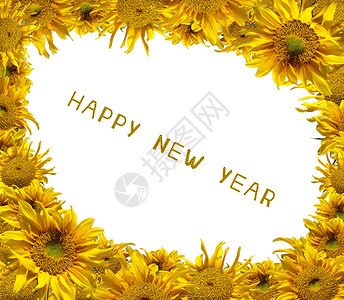 新年向日葵快乐 白色的 剪裁 花 小路背景图片