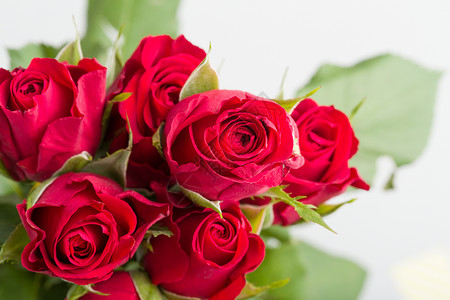鲜红玫瑰花 团体 婚礼 礼物 自然 浪漫的 念日 庆典 花瓣背景图片