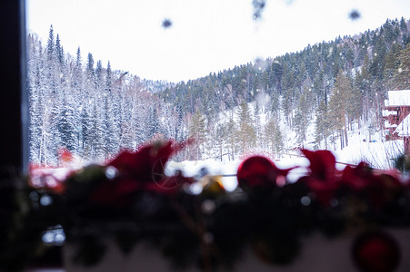 新年准备就绪 季节 十二月 旅行 寒冷的 雪花 童话 树背景图片