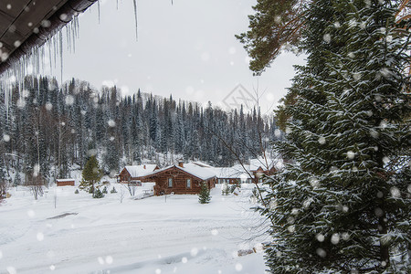 森林里的冬假度假屋 雪 蓝色的 树 松树 窗户背景图片