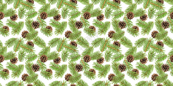 冷杉树枝无缝图案松树枝圣诞节 coni 森林绿色的高清图片素材