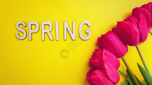 春季概念 彩色背景的郁金香包头 母亲发短信之春 黄色郁金香 女性背景图片