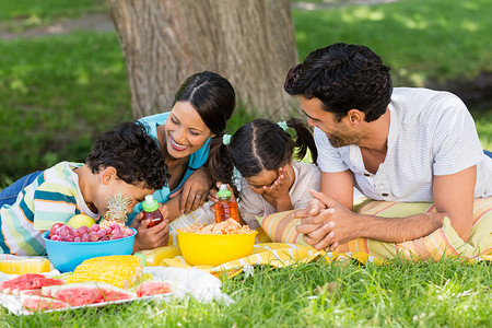 幸福的一家人一起在公园玩乐 粘接 亲热 爱 野餐图片