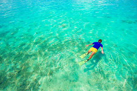 年轻男子在热带绿绿水中潜伏 放松 海洋 潜水 浮潜女性高清图片素材