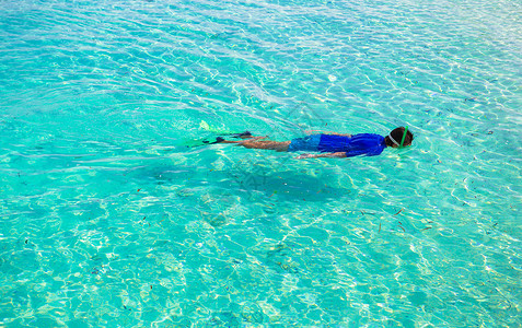 年轻男子在热带绿绿水中潜伏 水下 海洋 旅游 娱乐鳍高清图片素材