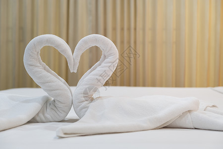 近身折叠的天鹅鸟 床上有新鲜白浴巾高清图片