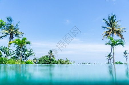 池底棕榈树背景图片