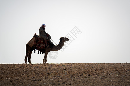埃及开罗沙漠中骑骆驼 亚洲 男人 东方 男性 天空背景图片