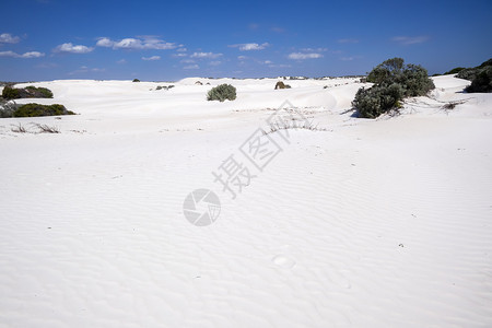 西澳大利亚西澳大利亚白沙丘色 旅游 风景 自然高清图片