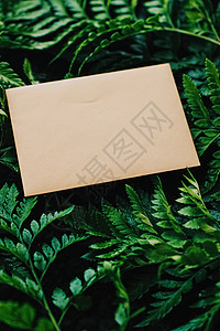 盛大开业邀请函空信封和自然绿叶 纸卡作为背景 来往信函和通讯的纸牌 沟通 谢谢背景