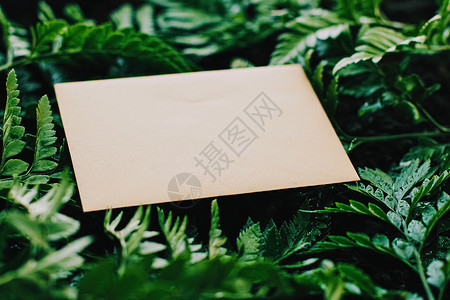 盛大开业邀请函空信封和自然绿叶 纸卡作为背景 来往信函和通讯的纸牌 笔记 代金券背景