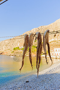 干斑章 钓鱼 夏天 岛 杰罗米纳斯 蓝色的 玛尼 美食背景图片