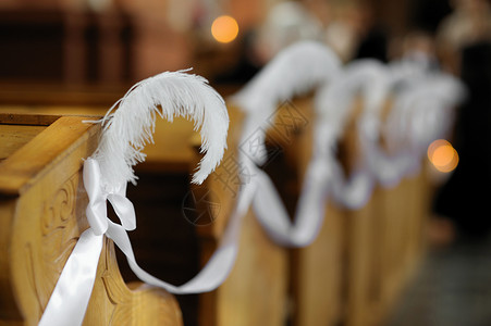 美丽的羽羽毛婚纱装饰背景图片