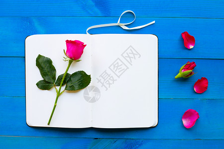 蓝色玫瑰蓝色木质背景玫瑰日记笔记本 情人节 假期 海报 二月背景