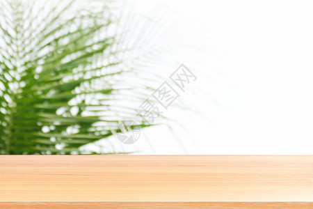 椰子模糊上的空木桌 模糊的椰子绿树上的木板柔和的浅白色背景 抽象椰子树上的空木桌地板模糊柔软 木板空前椰子 春天 阳光背景图片