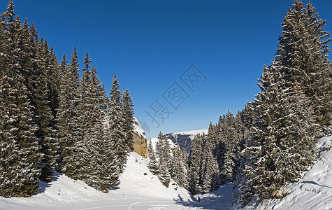 在高山山谷下方的全景 沟壑 森林 户外活动 自然 户外图片