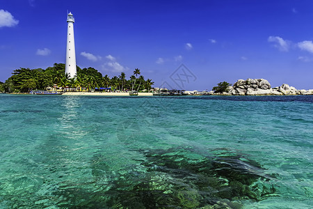 冷库亚斯岛/印度尼西亚贝利通/ 晴天 海 树背景图片