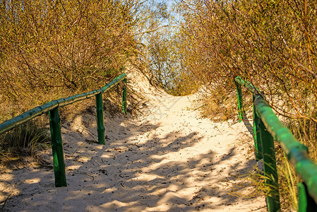 穿过波兰的波罗地海 通过沙丘 绿色的 旅游 高的背景