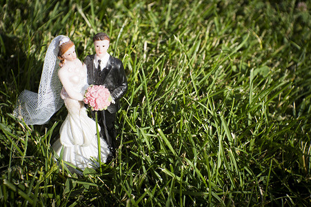 婚嫁夫妇在田野天然草上的标准人数数字 自然背景图片