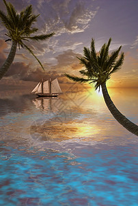 热带水域 棕榈 浪漫的 天空 日落 太阳 云景图片